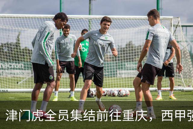 津门虎全员集结前往重庆，西甲强援加入争取保底1分